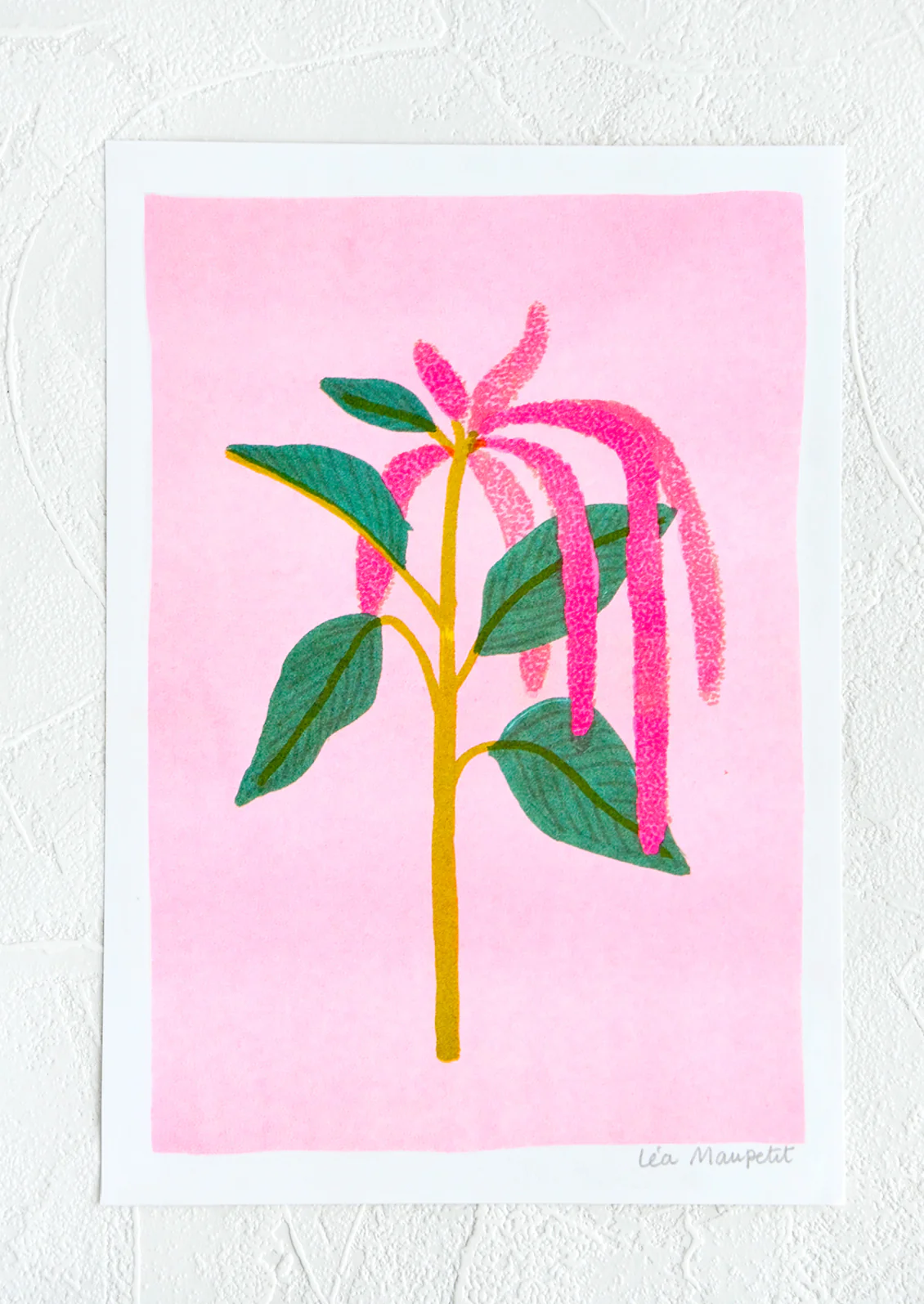 Amaranth Print
