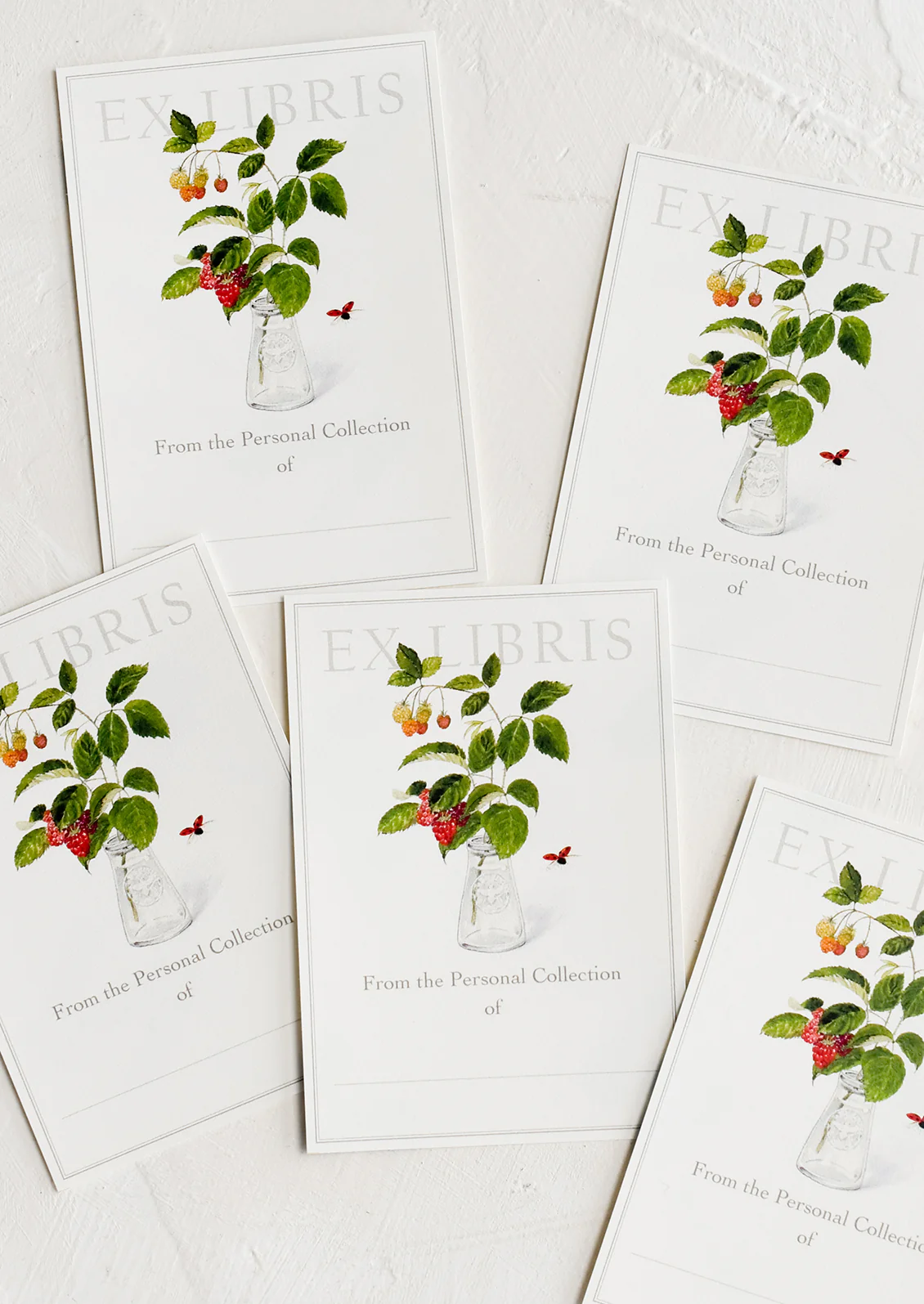 Illustrated Bookplate Pack - Image 5