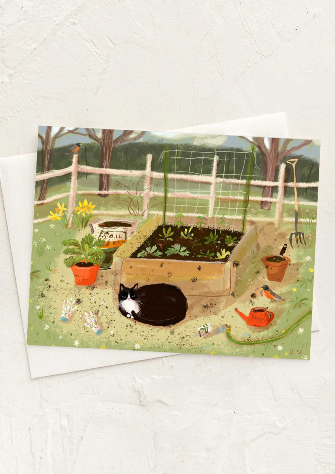 Cat In Garden Blank Card