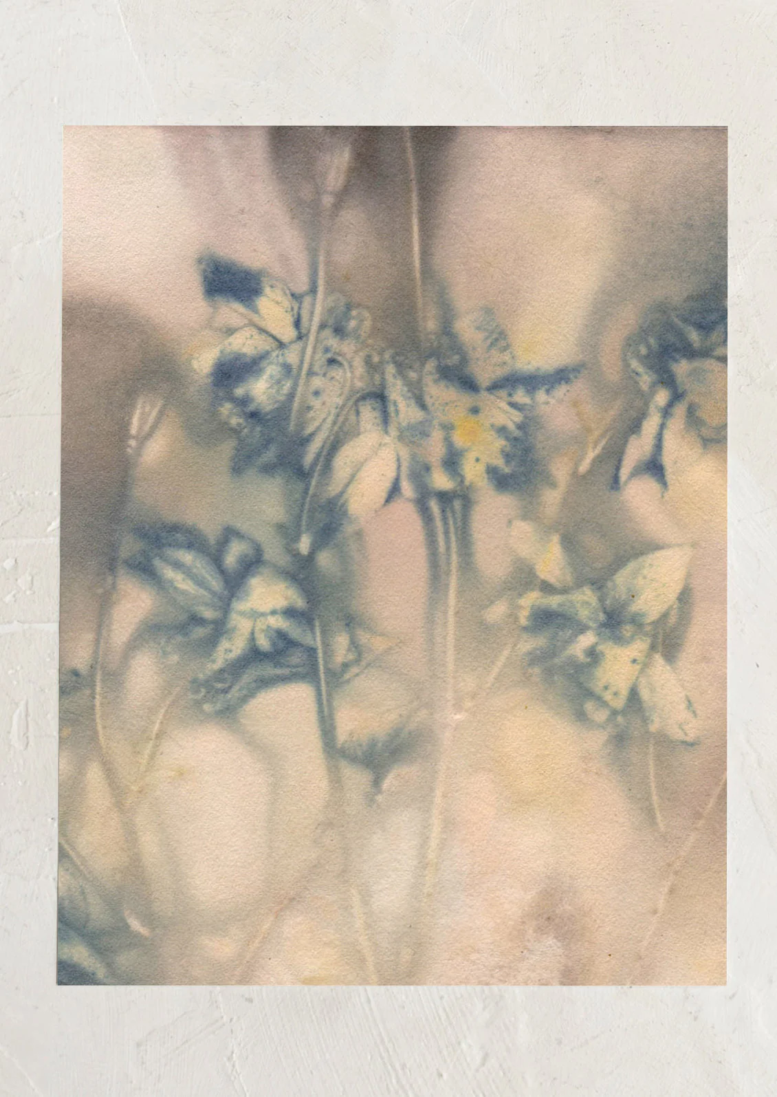 Columbine No. 1 Print - Image 2