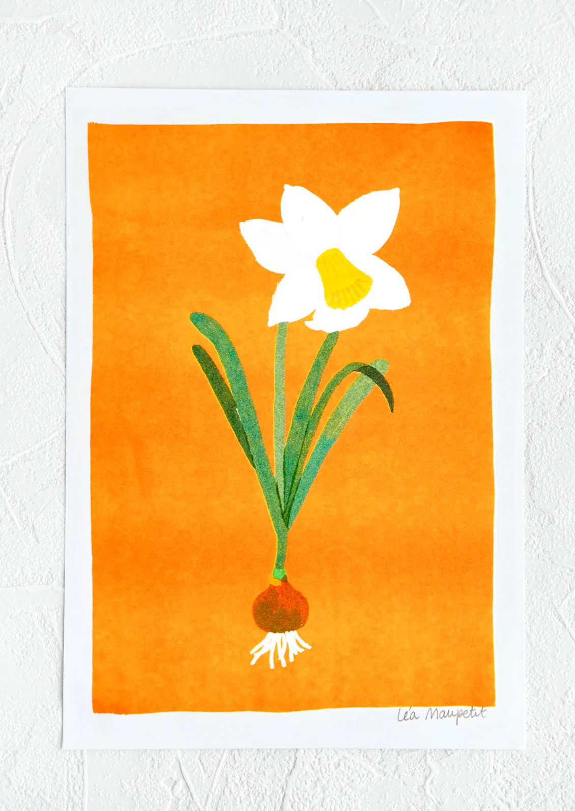Daffodil Print