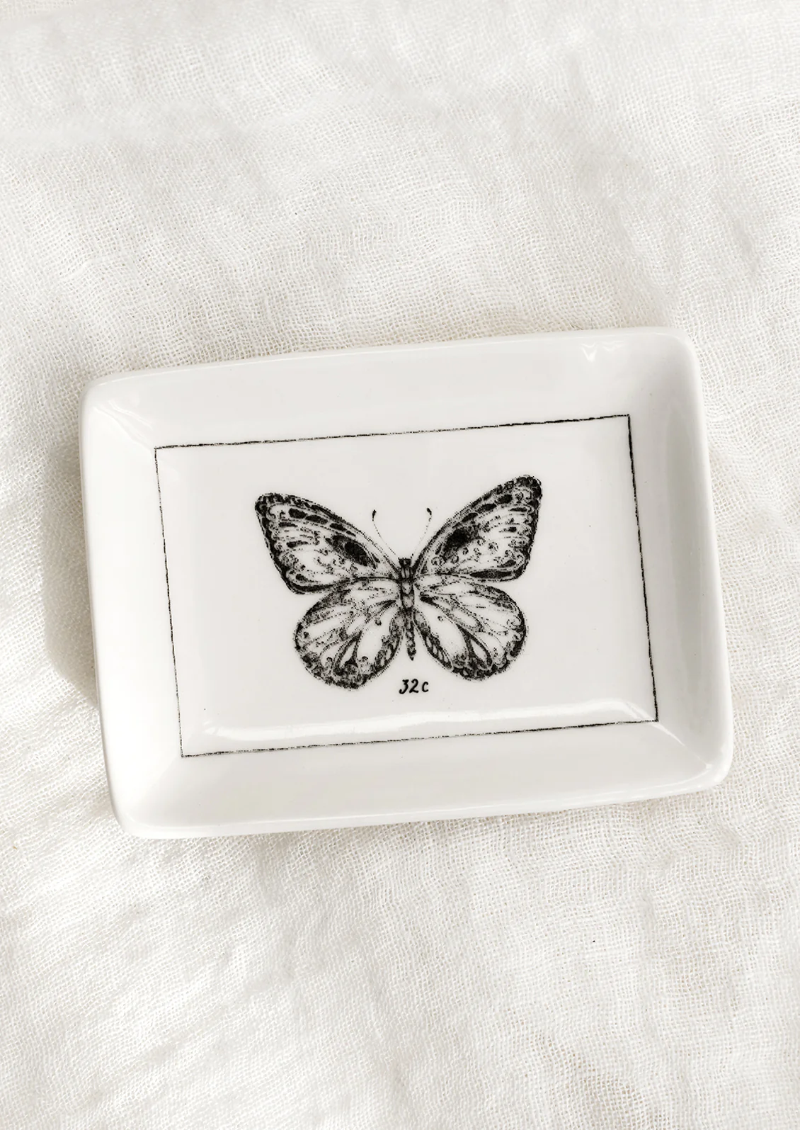 Entomology Trinket Dish - Image 3