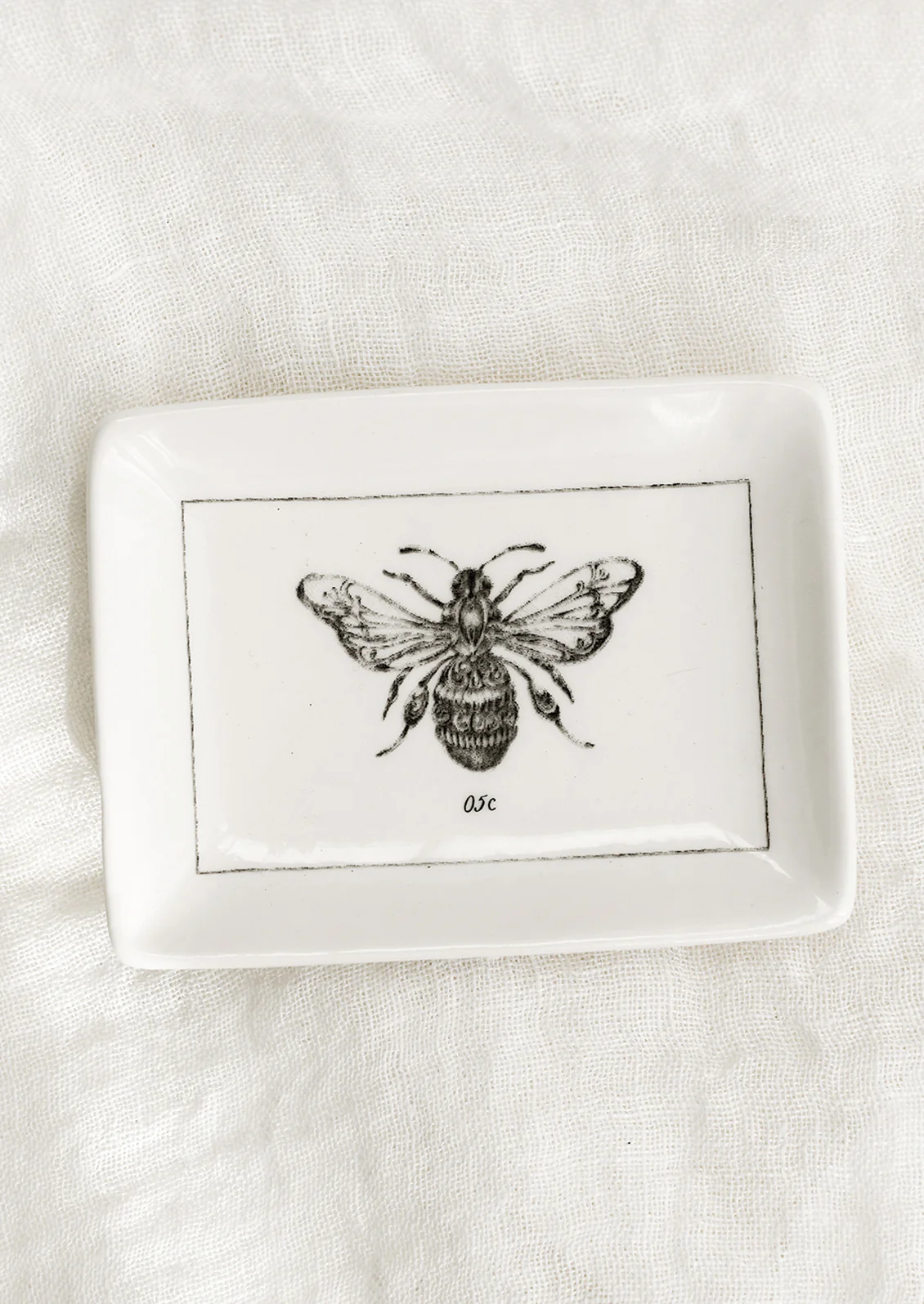 Entomology Trinket Dish - Image 5