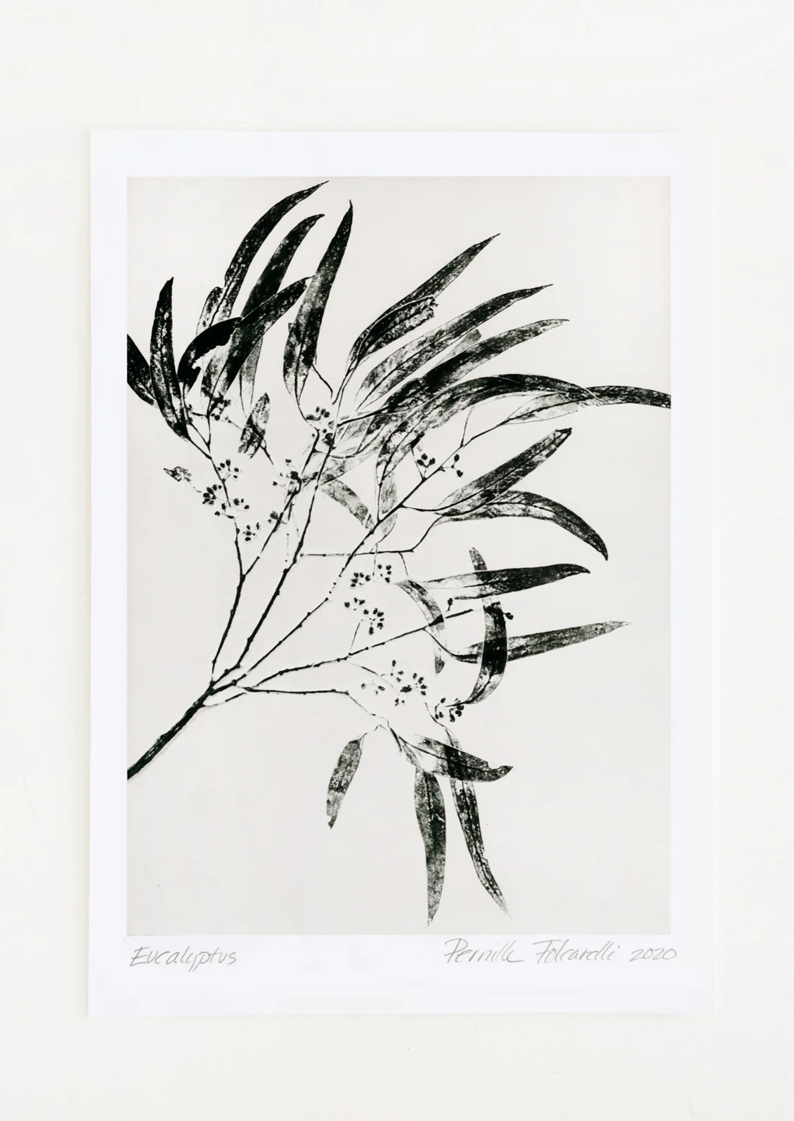 Eucalyptus in Green Print