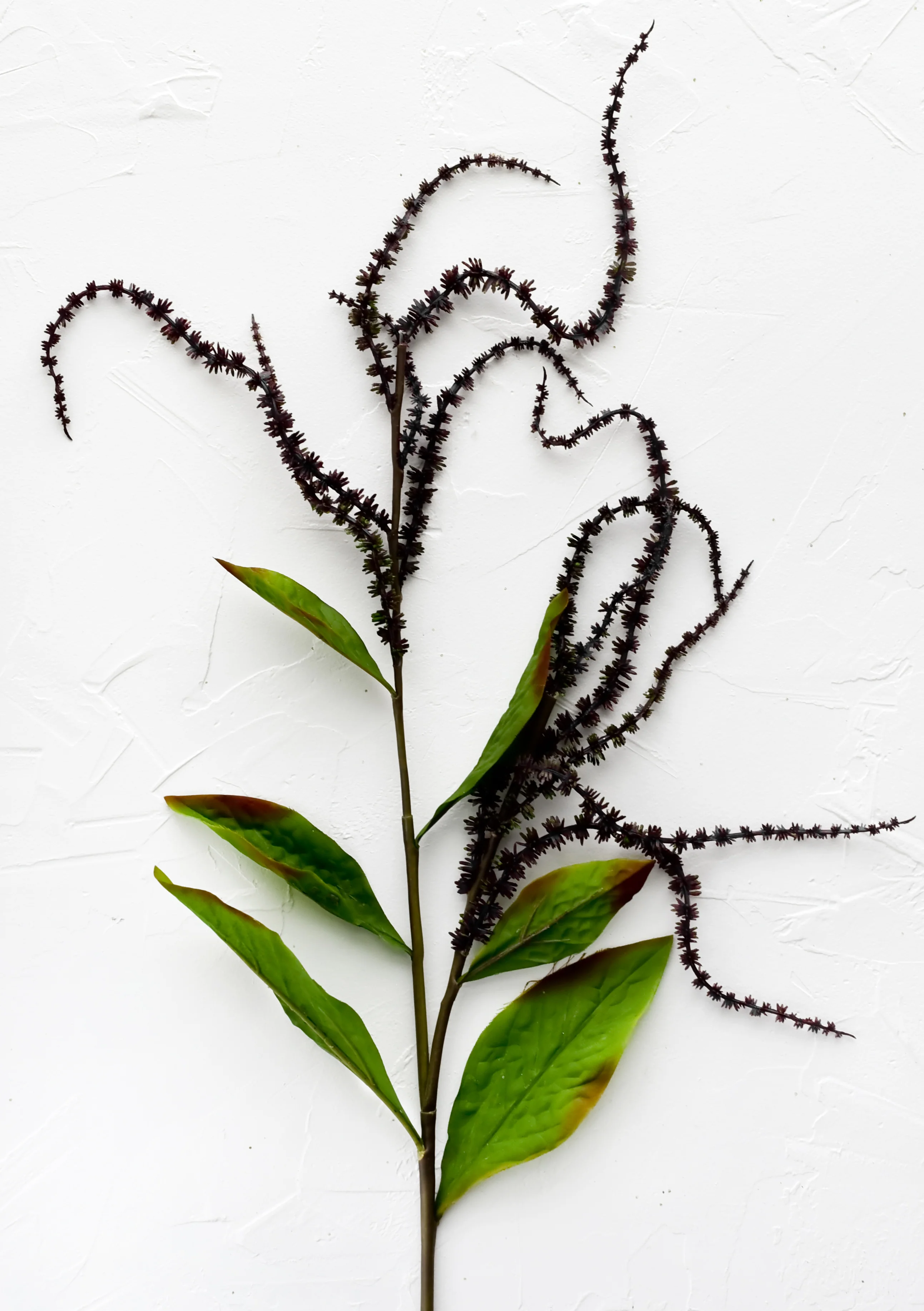 Faux Amaranth Stem