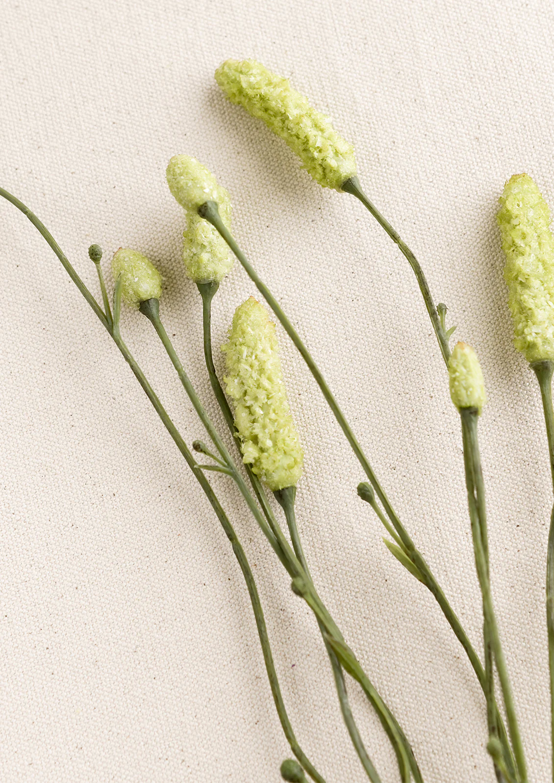 Faux Burnet Spray - Image 3
