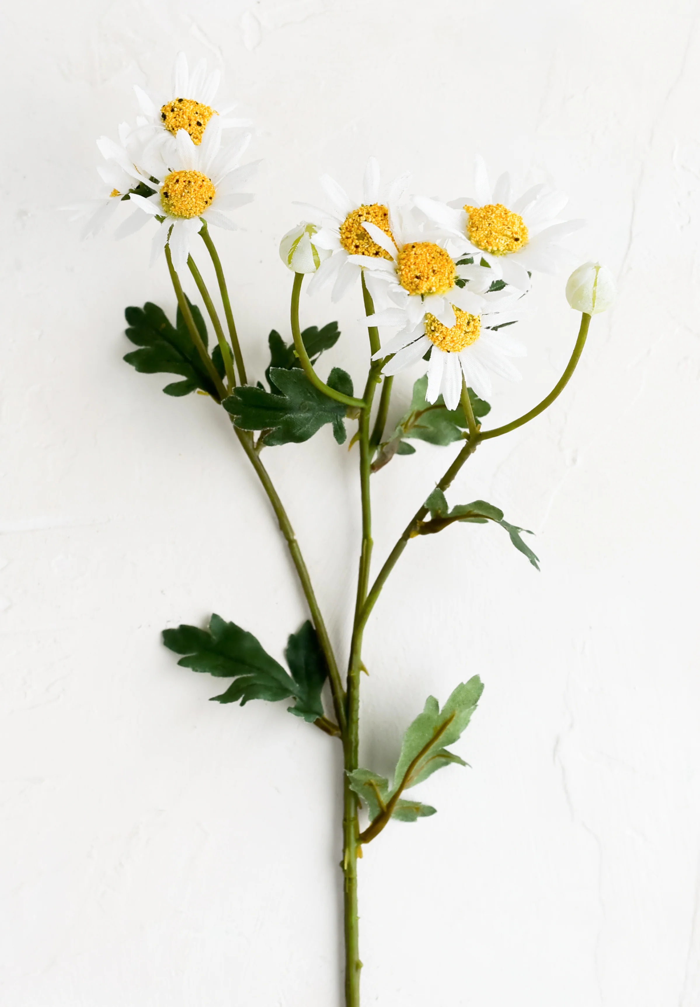 Faux Field Daisy Stem