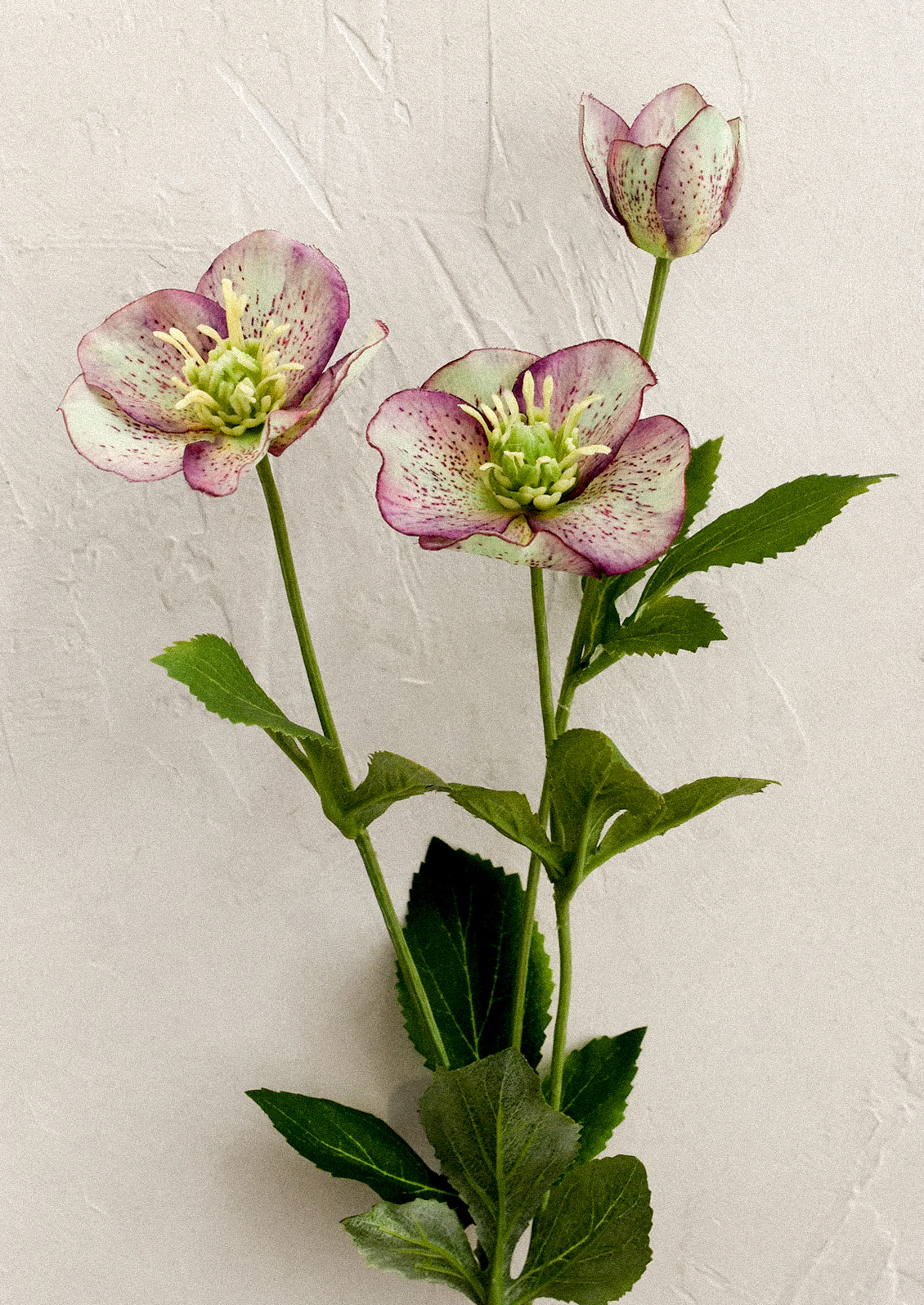 Faux Hellebore Spray - Image 2