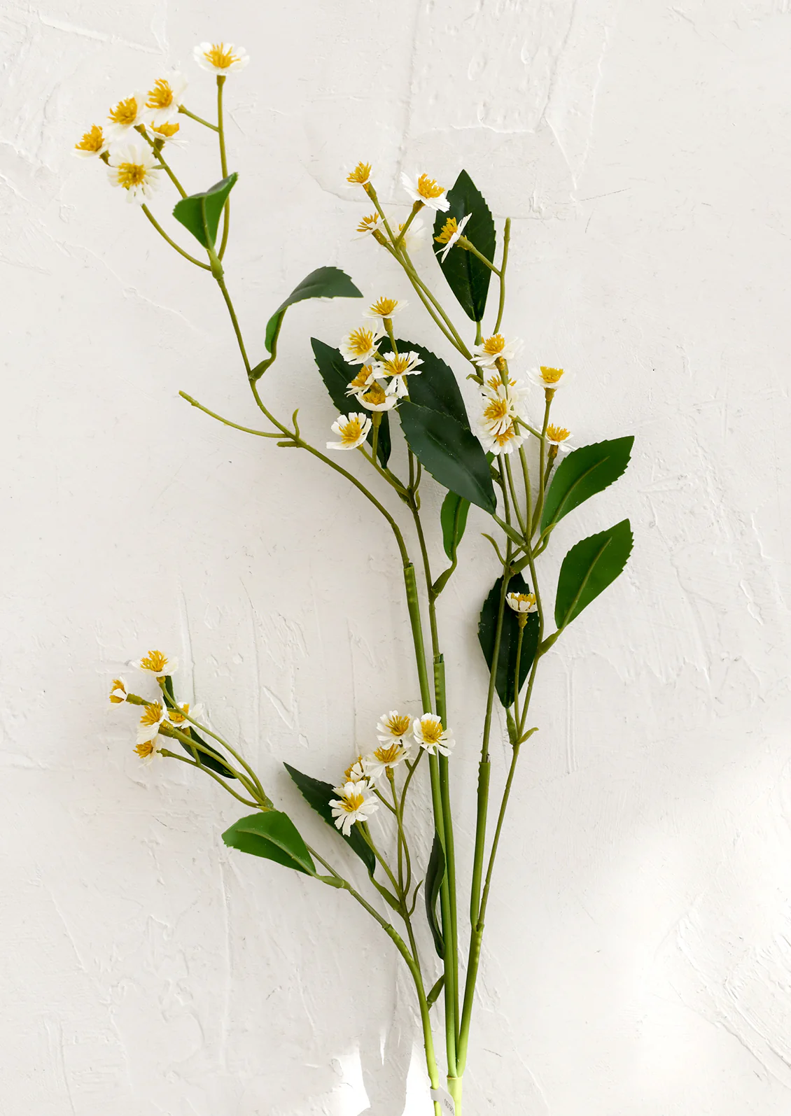 Faux Chamomile Spray - Image 3