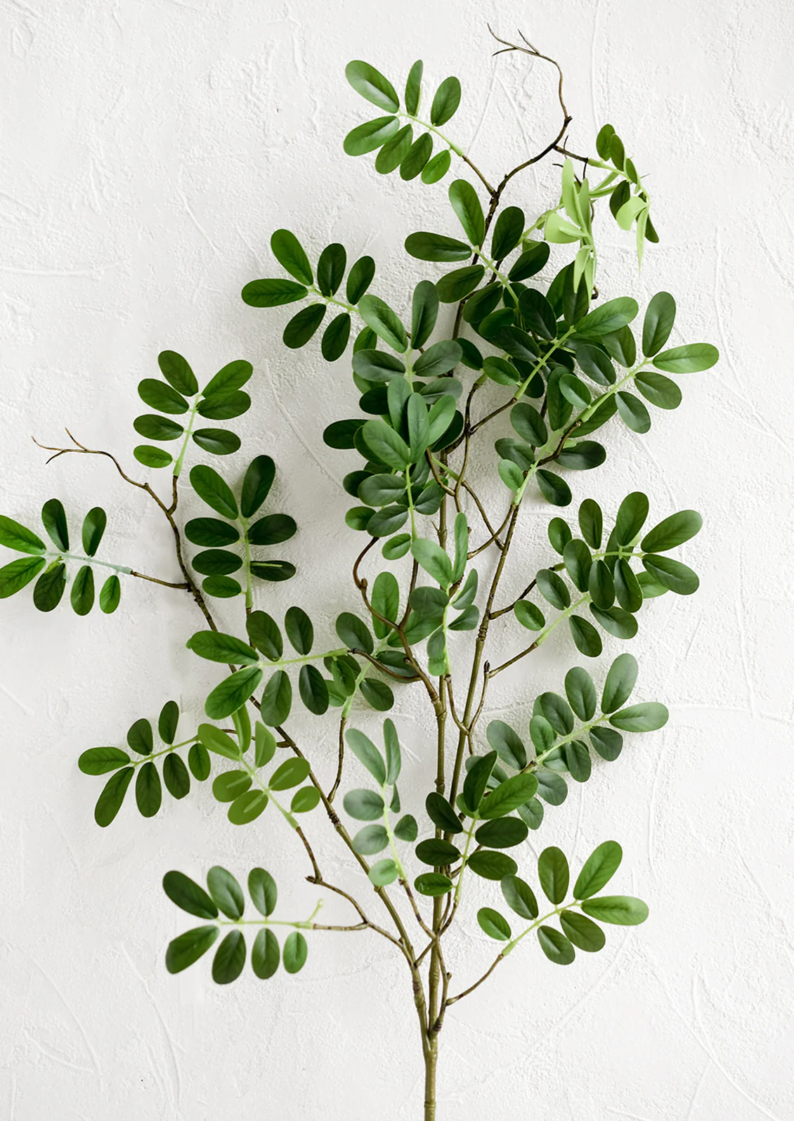 Faux Phyllanthus Stem