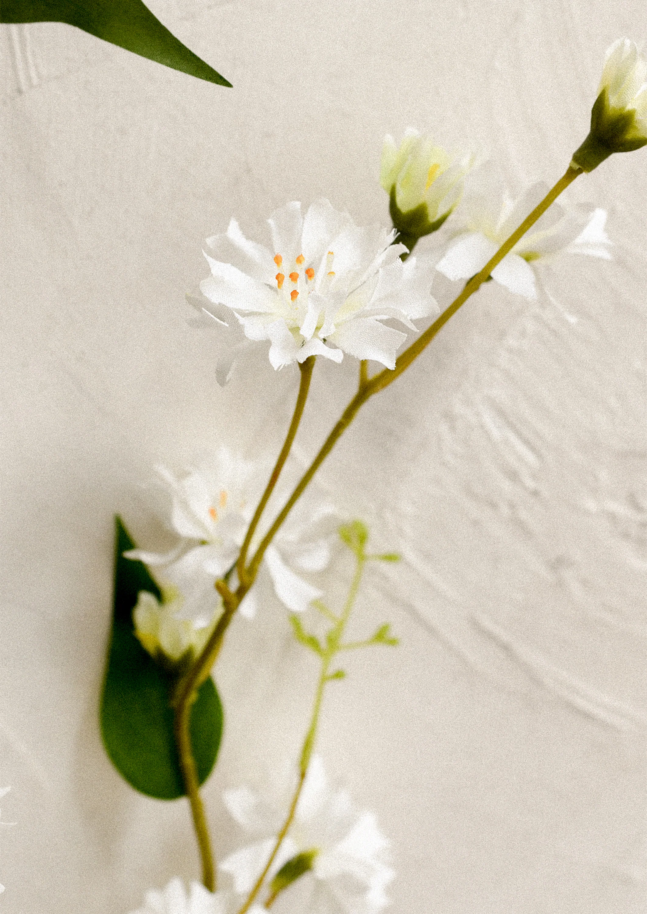 Faux Pilosella Flower Spray - Image 2