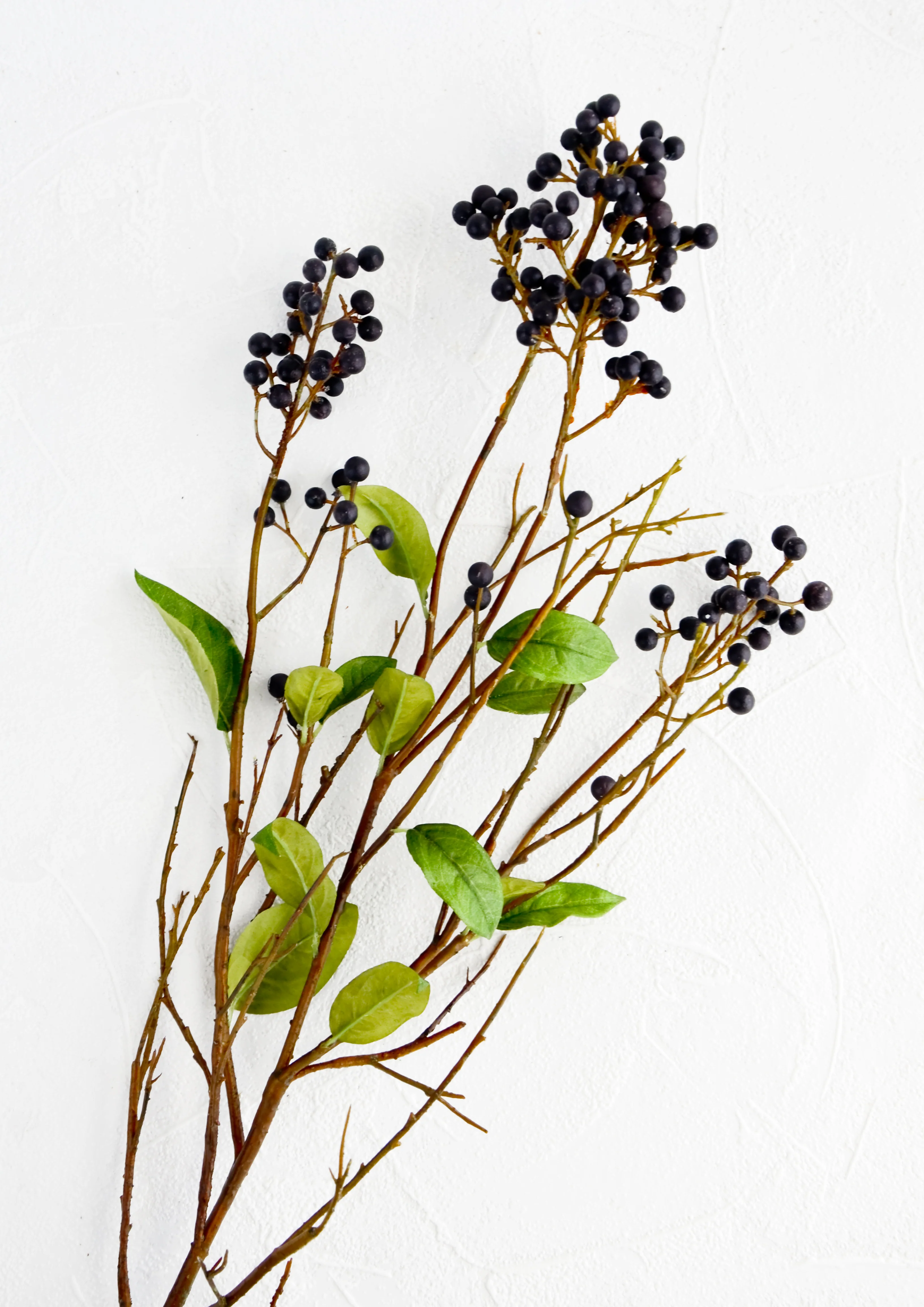 Faux Privet Berry Stem