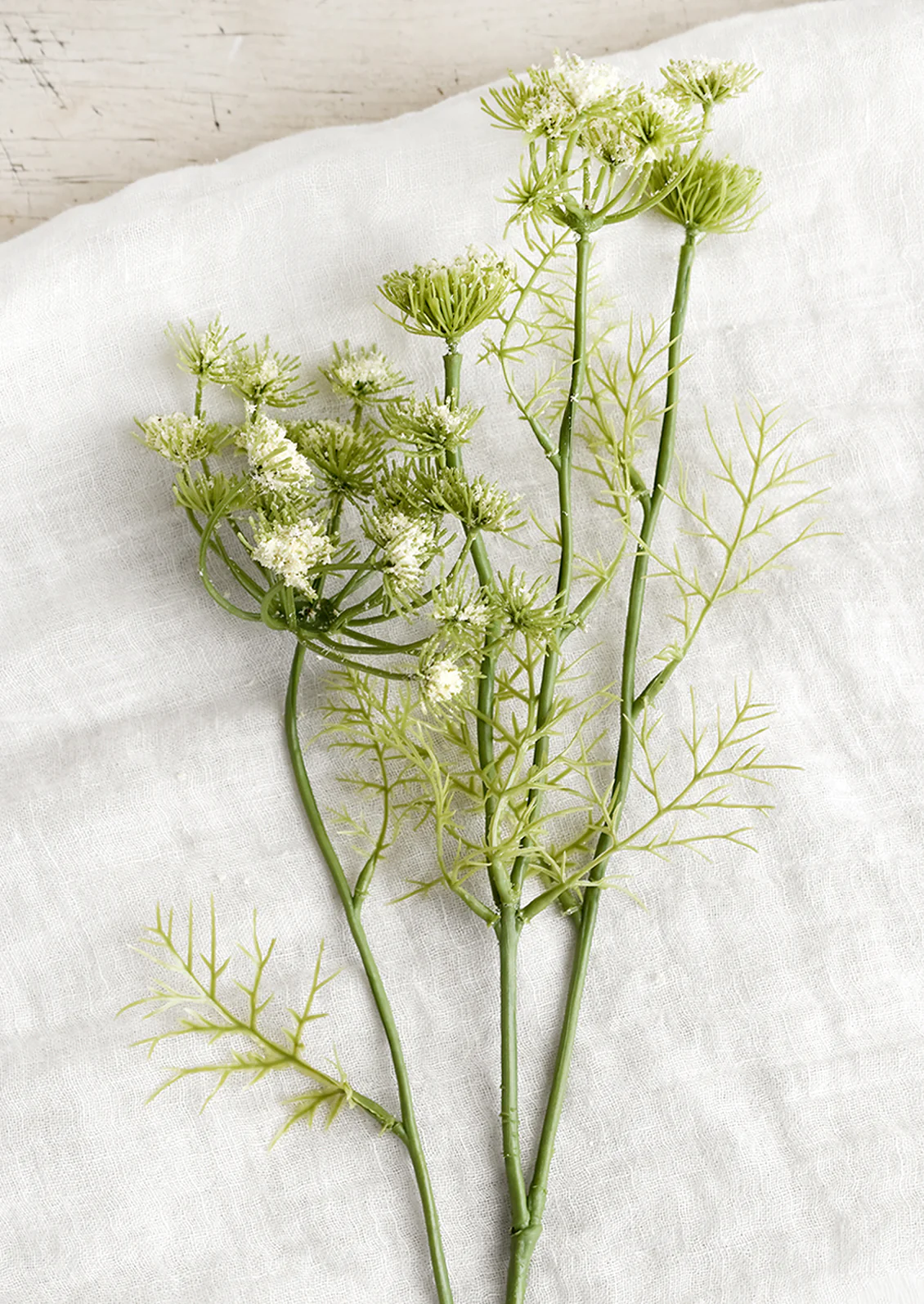 Faux Queen Anne's Lace Bundle - Image 3