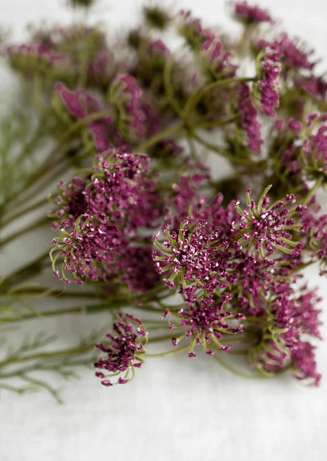 Faux Queen Anne's Lace Bundle - Image 5