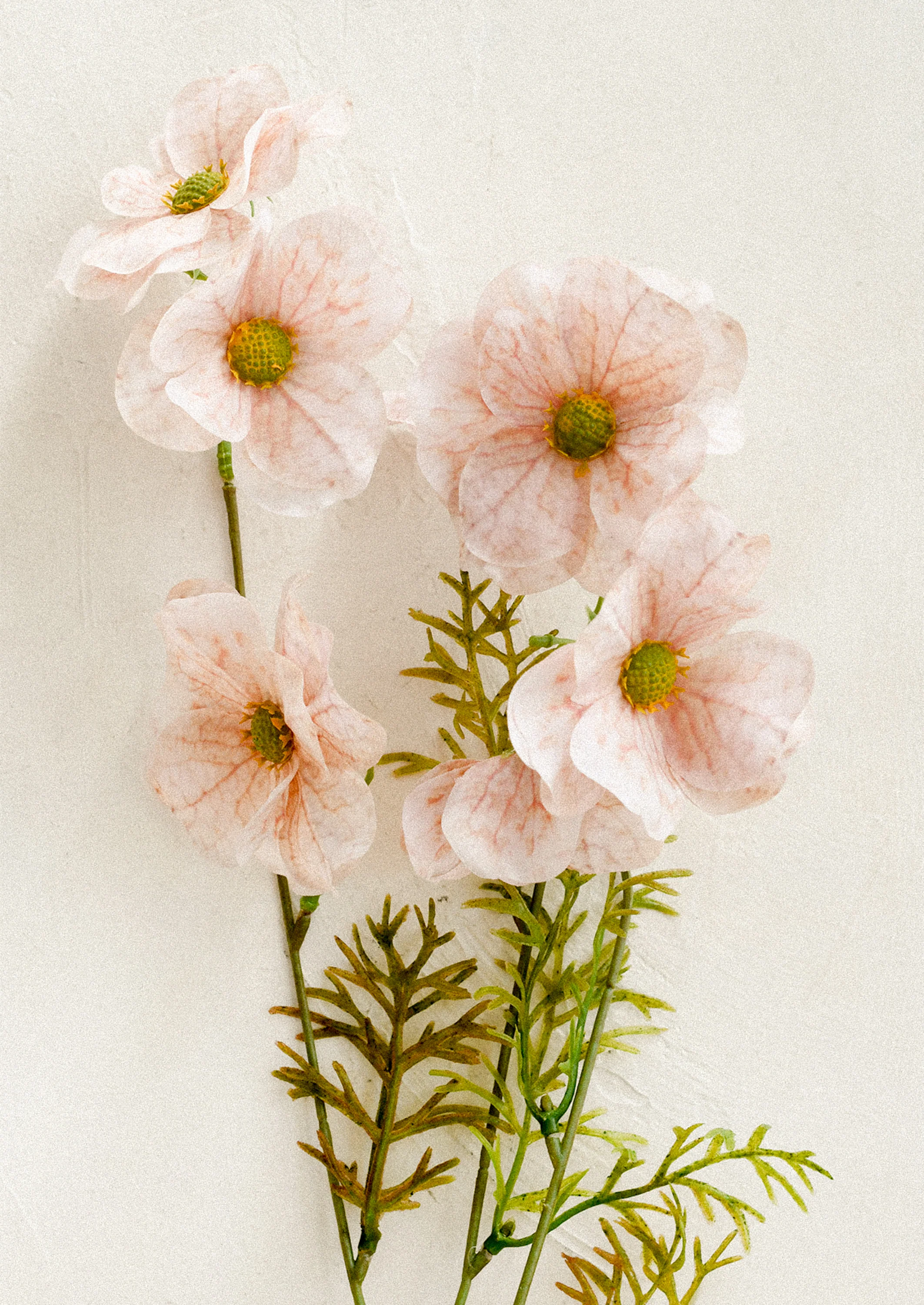 Faux Butterfly Ranunculus Stem