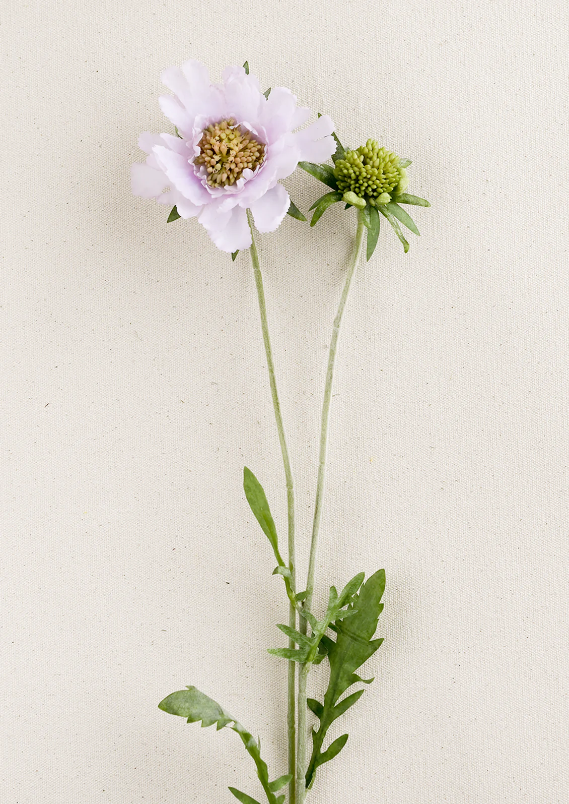 Faux Scabiosa Flower Stem - Image 3