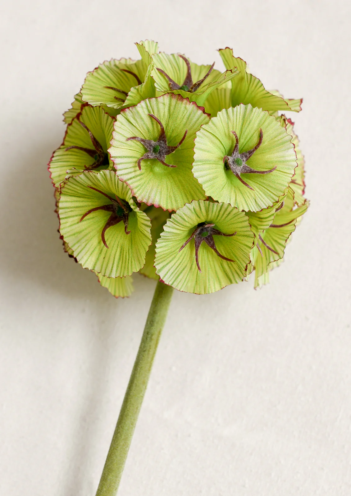 Faux Scabiosa Seedpod Stem - Image 2