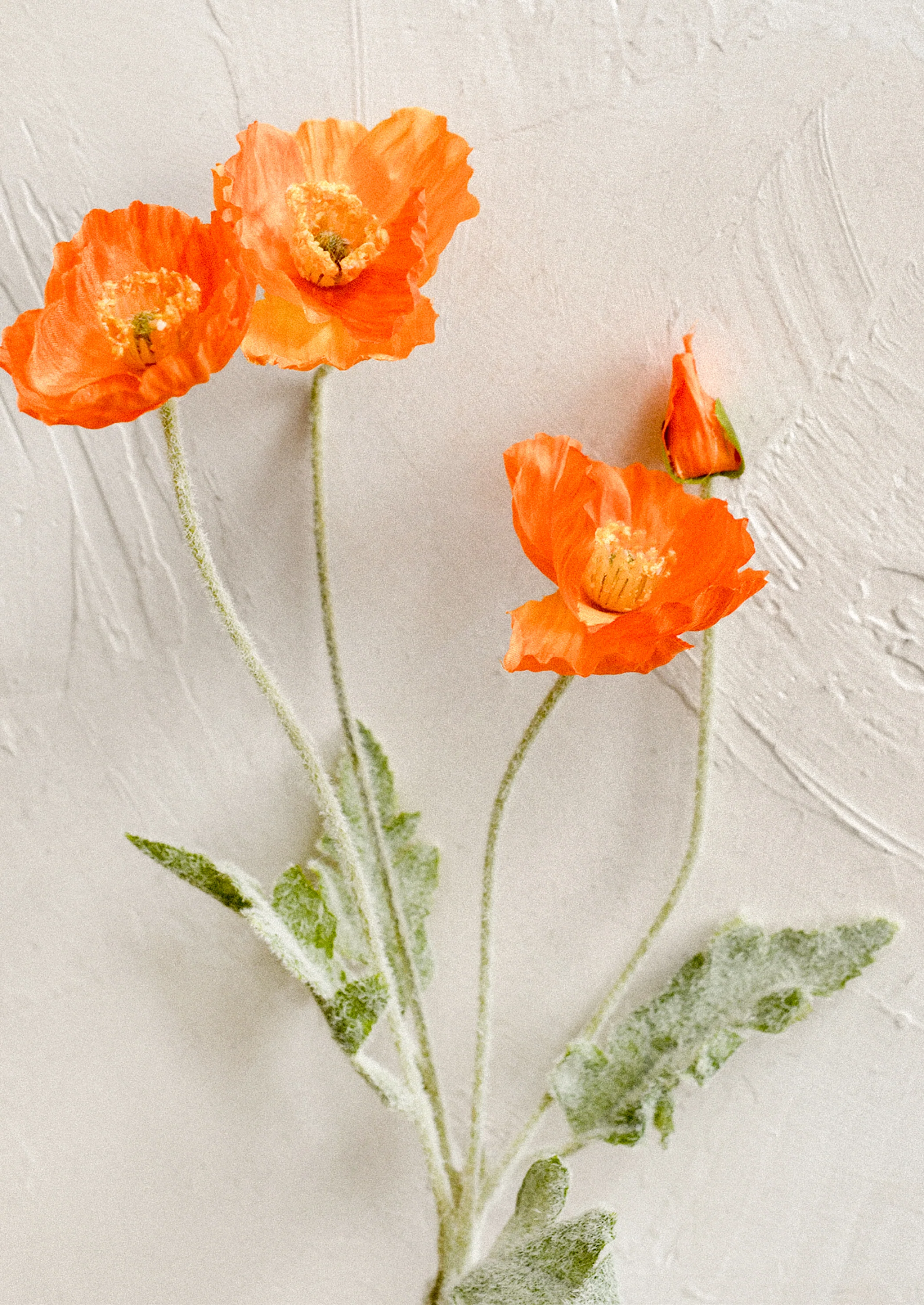 Faux Iceland Poppy Spray - Image 2
