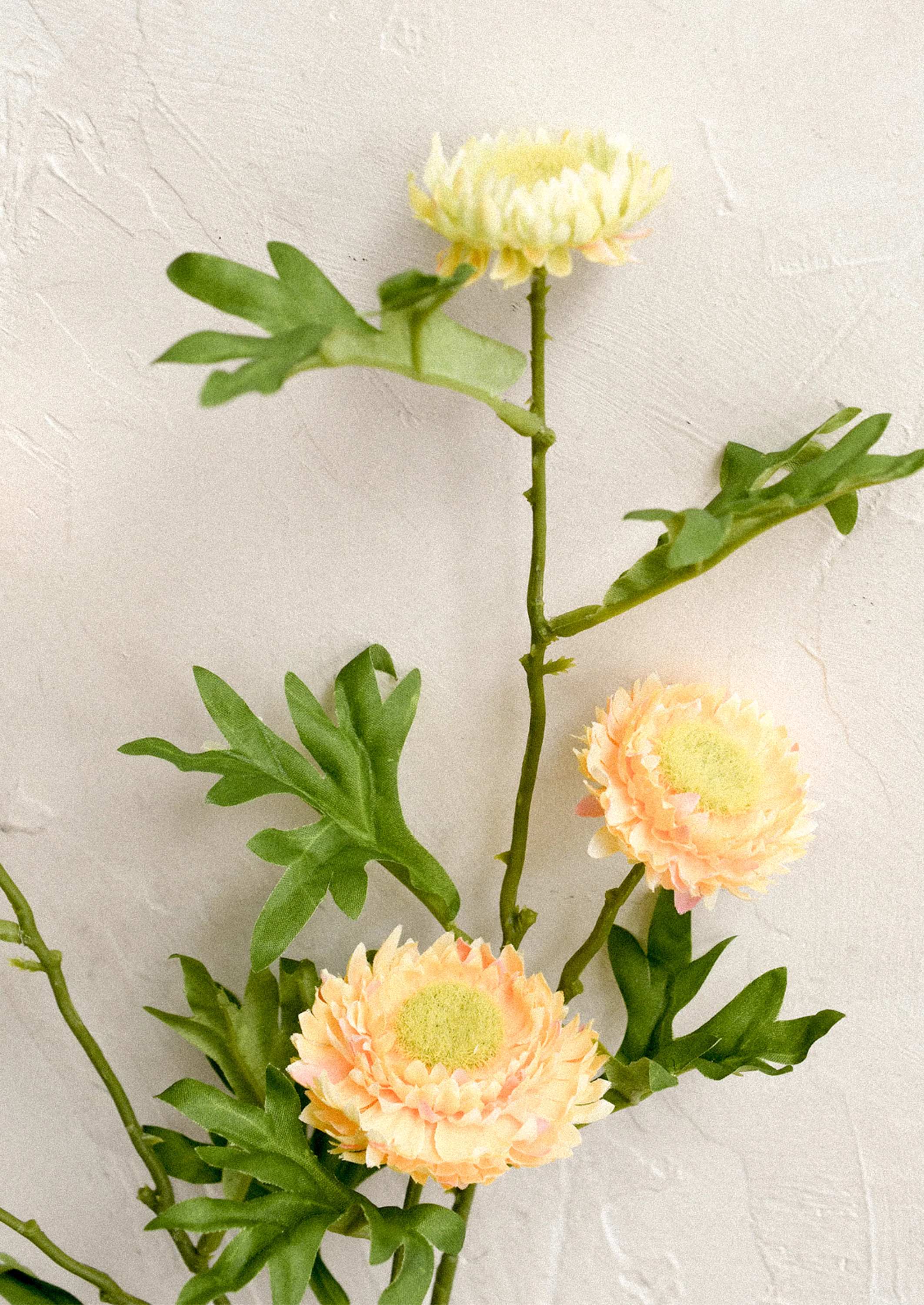 Faux Strawflower Spray - Image 2