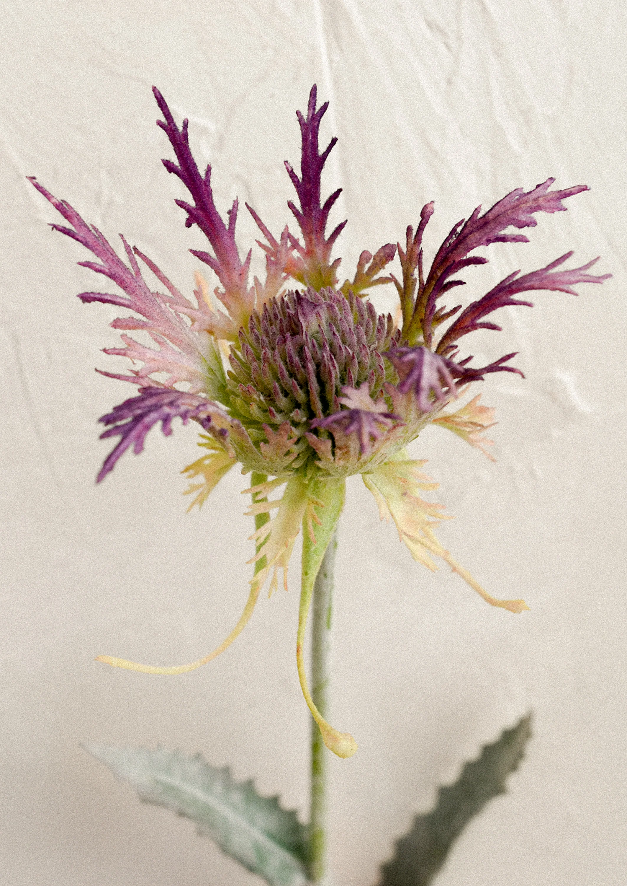 Faux Thistle Stem