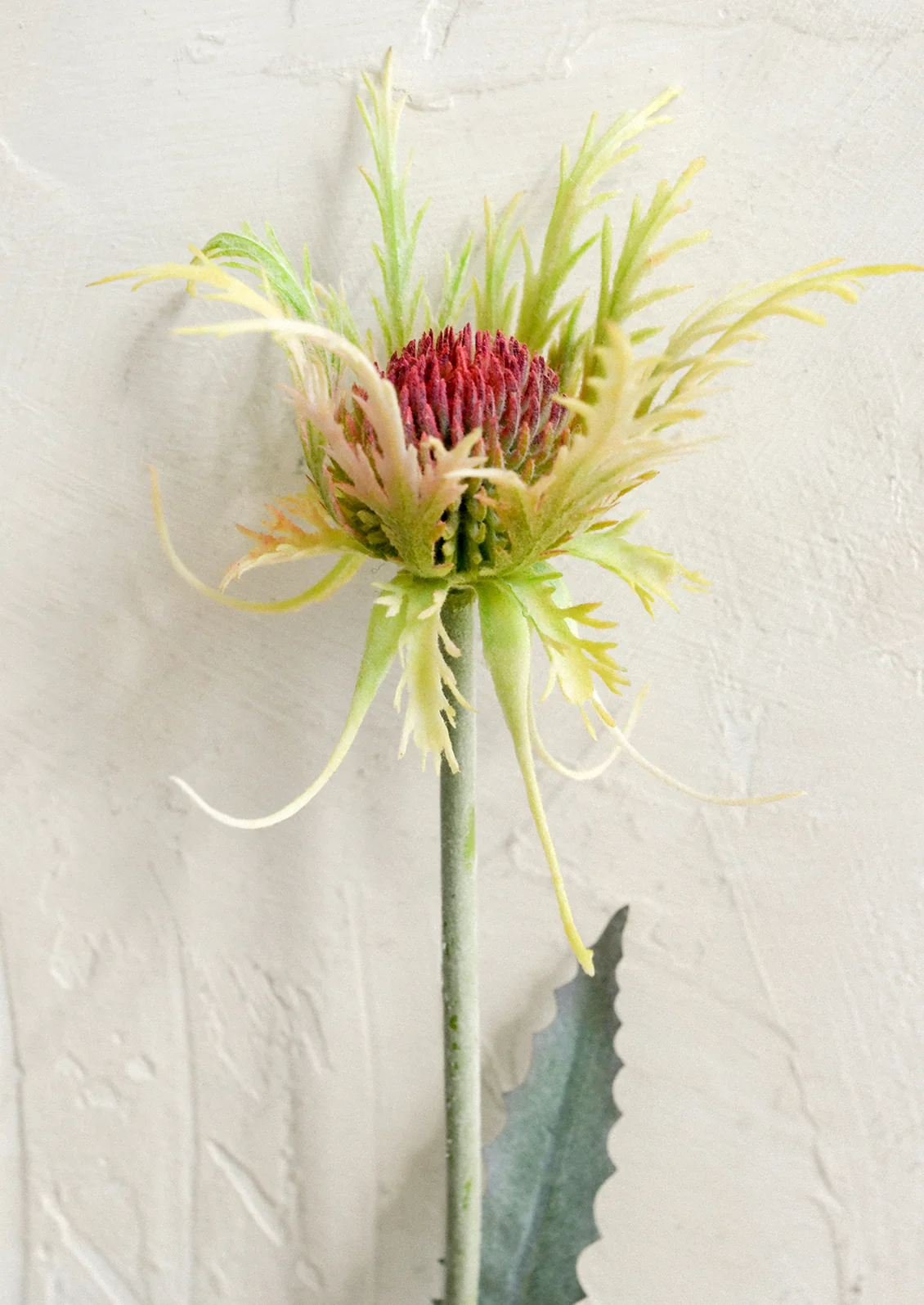 Faux Thistle Stem - Image 2