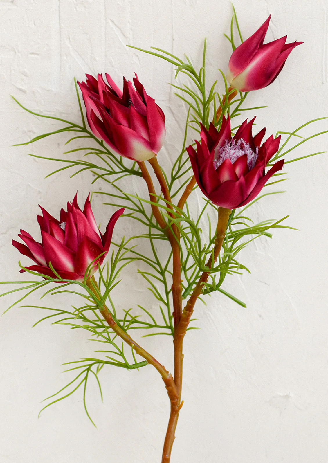 Faux Wild Protea Stem - Image 2