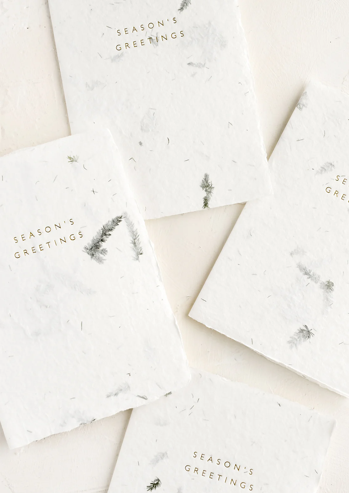 Fern Paper Holiday Card Set
