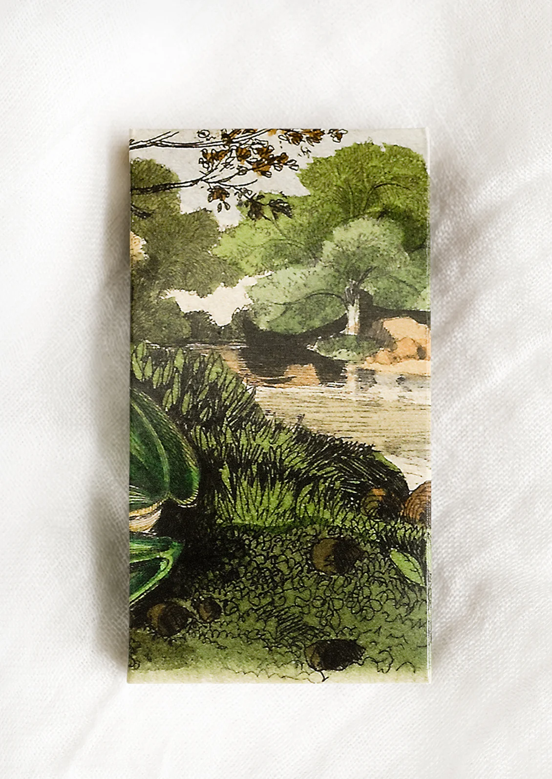 Frog Matchbox - Image 2