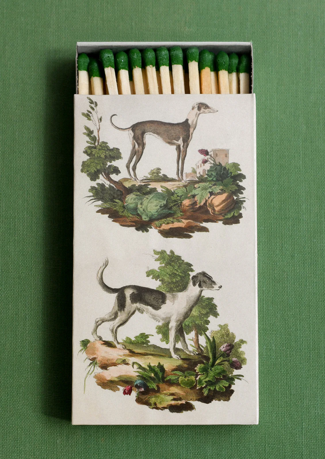 Italian Dogs Matchbox
