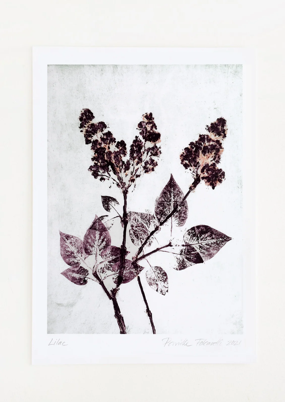 Lilac in Mint & Plum Print