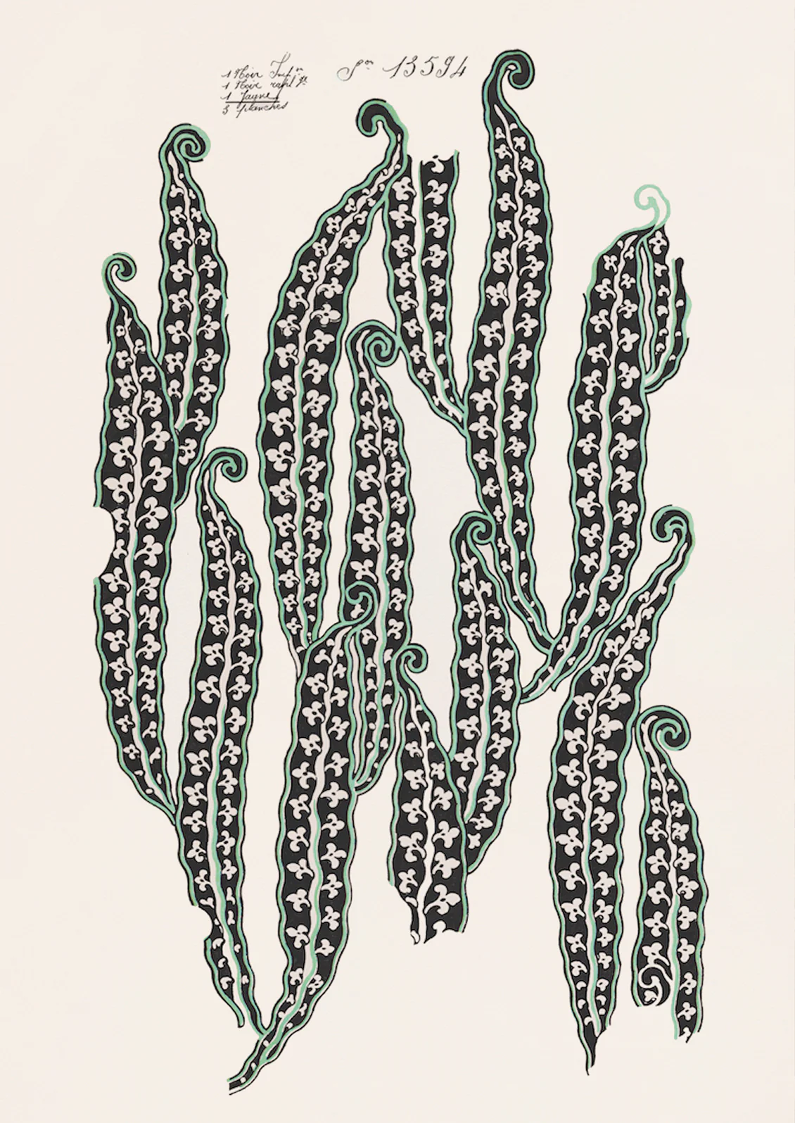 Magic Beans Print