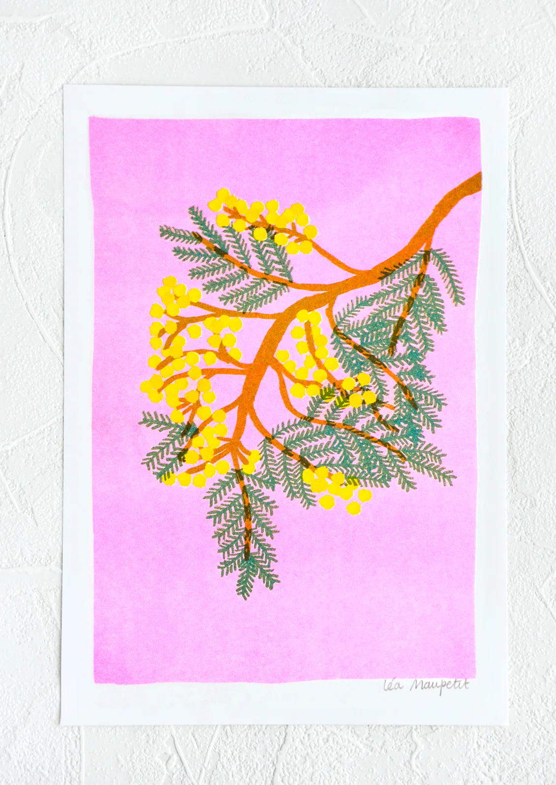 Mimosa Print