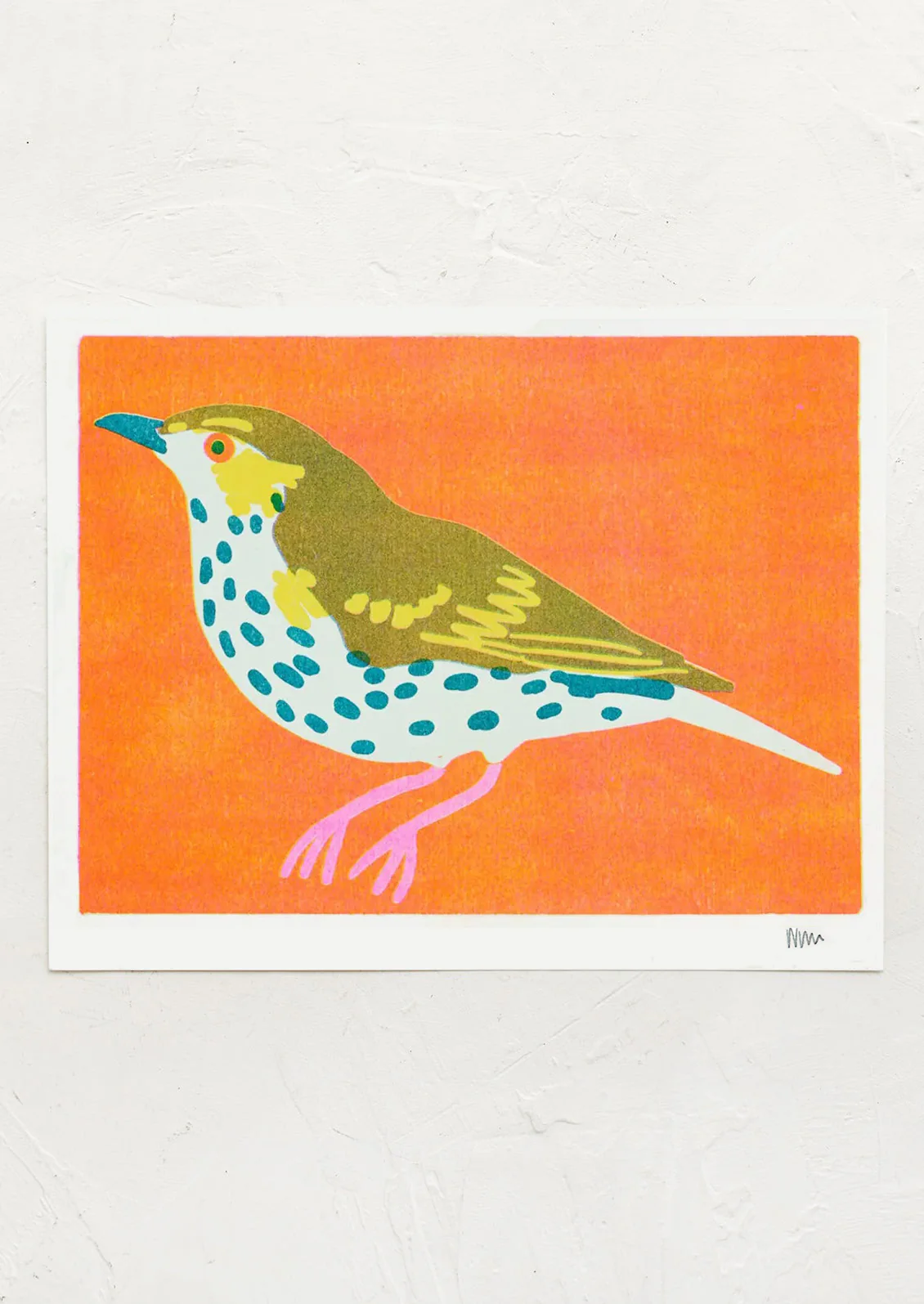 Mistle Thrush Print