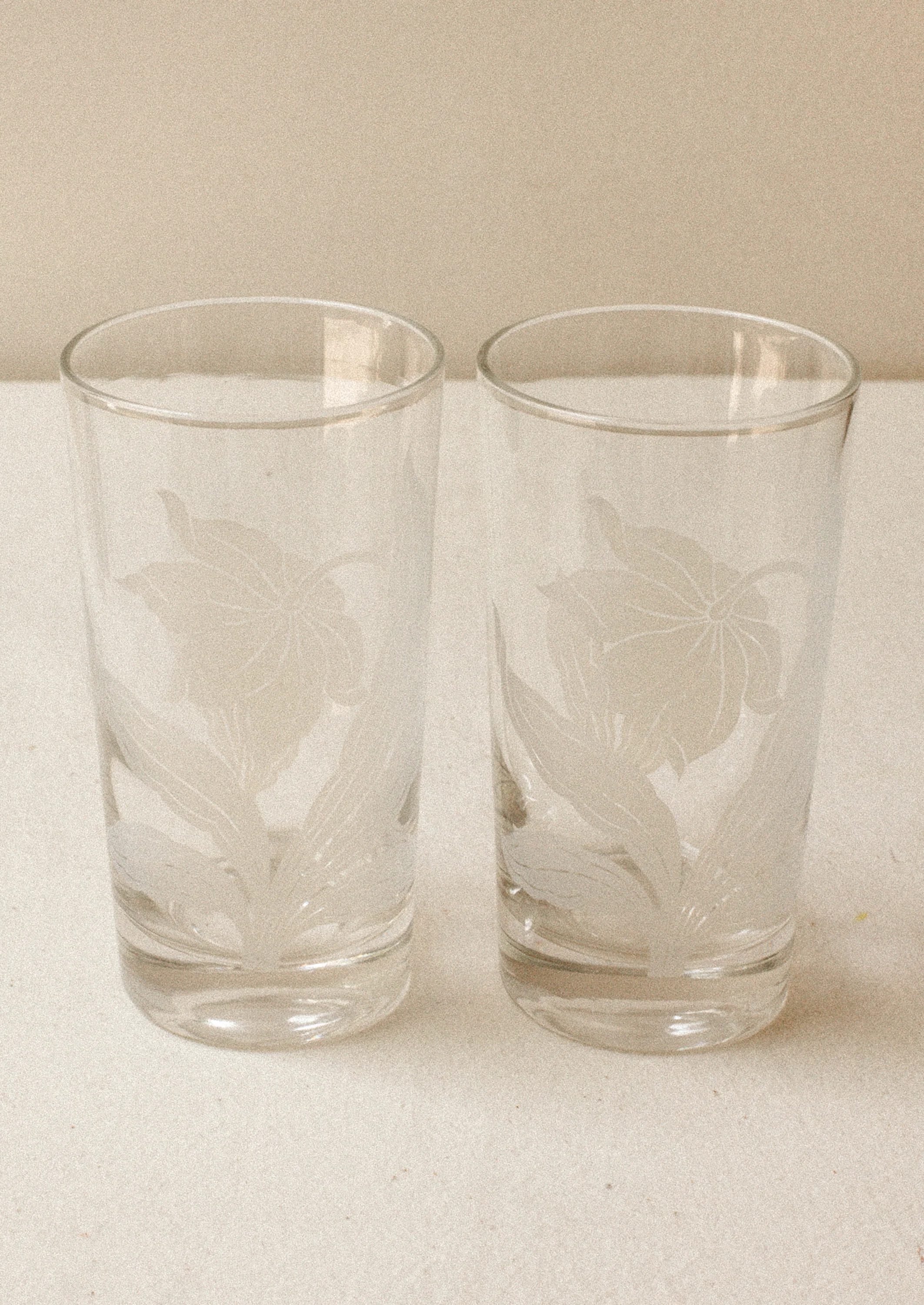 Pair of Daffodil Glass Tumblers