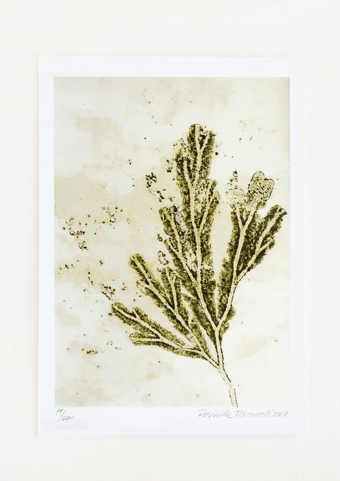 Seaweed in Green Print