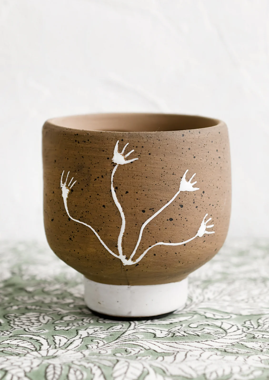 Seaweed Study Pot