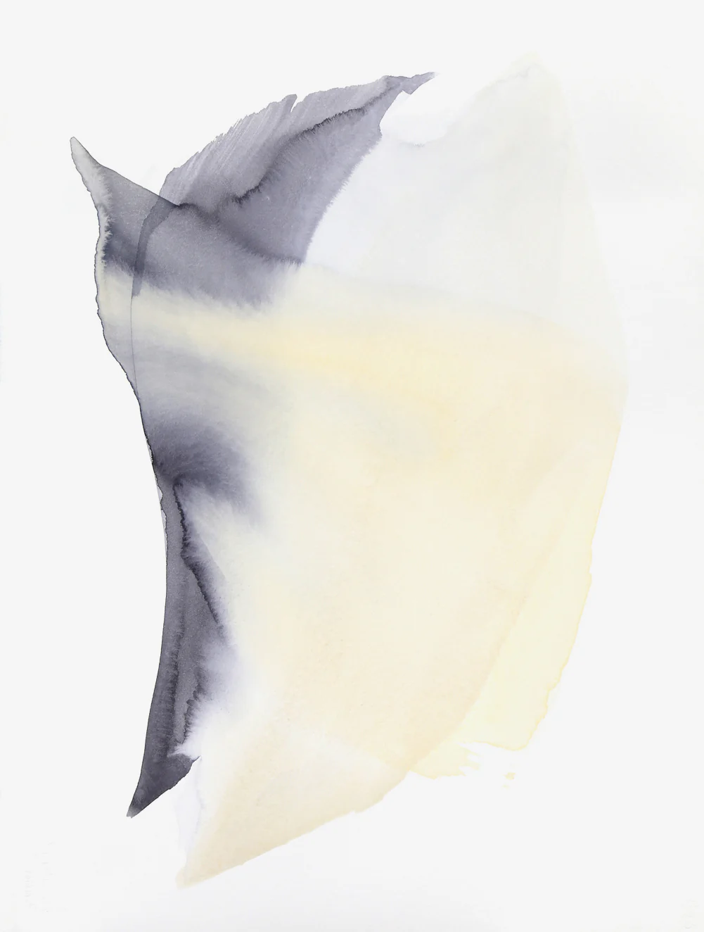 Shell Print