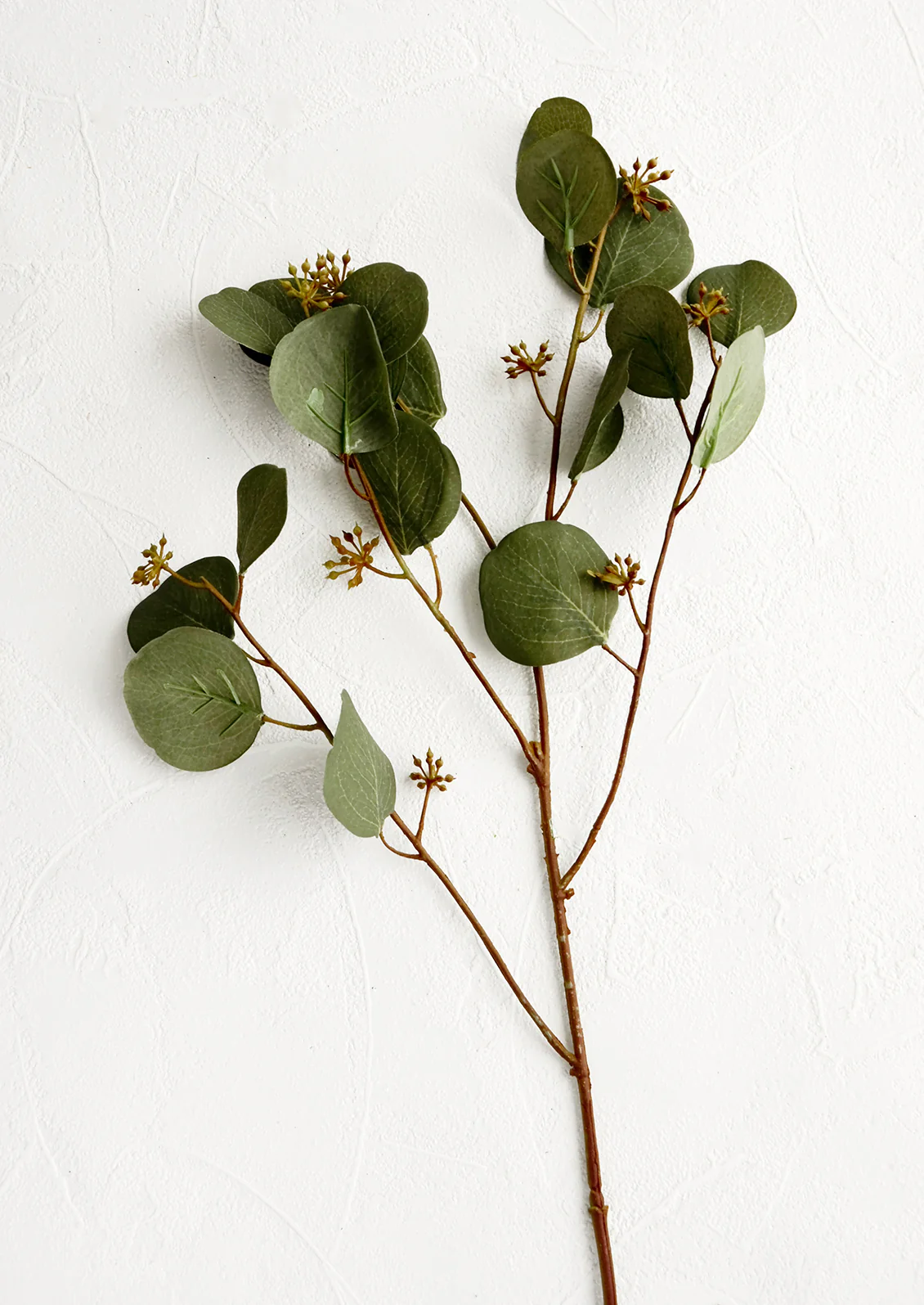 Faux Silver Dollar Eucalyptus Stem