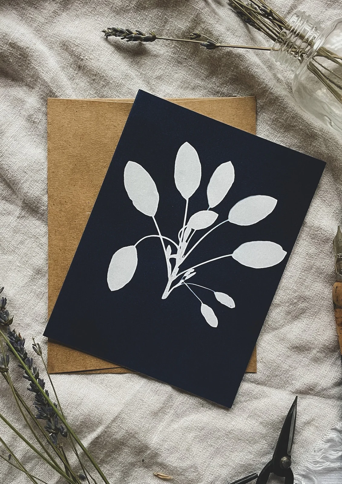 Cyanotype Card Set - Image 5