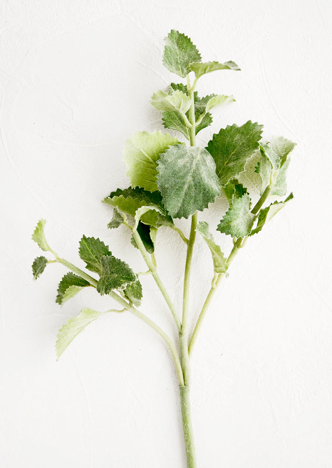 Faux Spearmint Stem