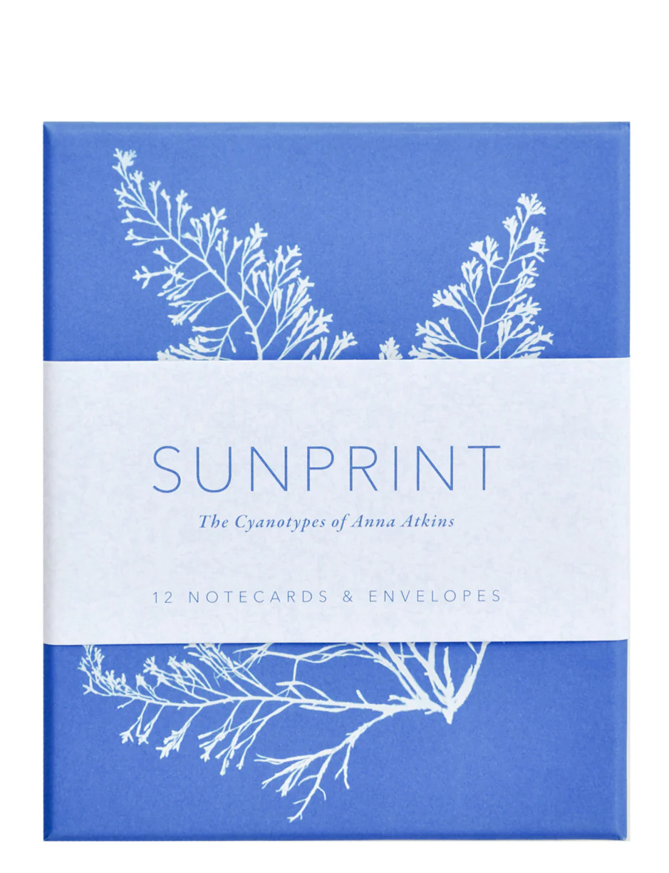 Sunprint Notecard Set - Image 2