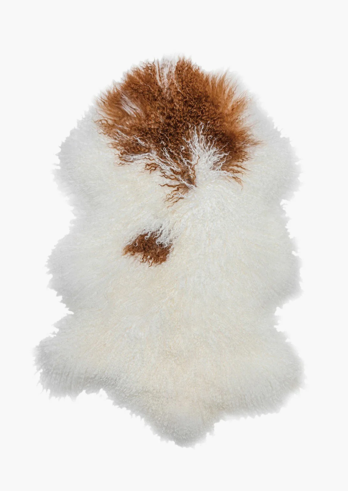 Tibetan Curly Lamb Fur - Image 2