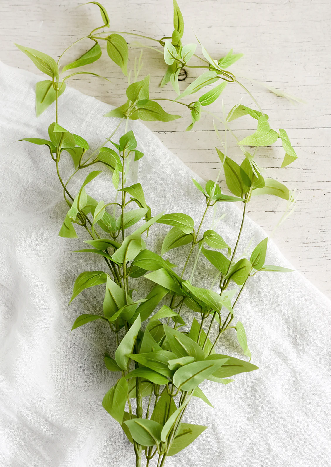 Trailing Leaf Spray