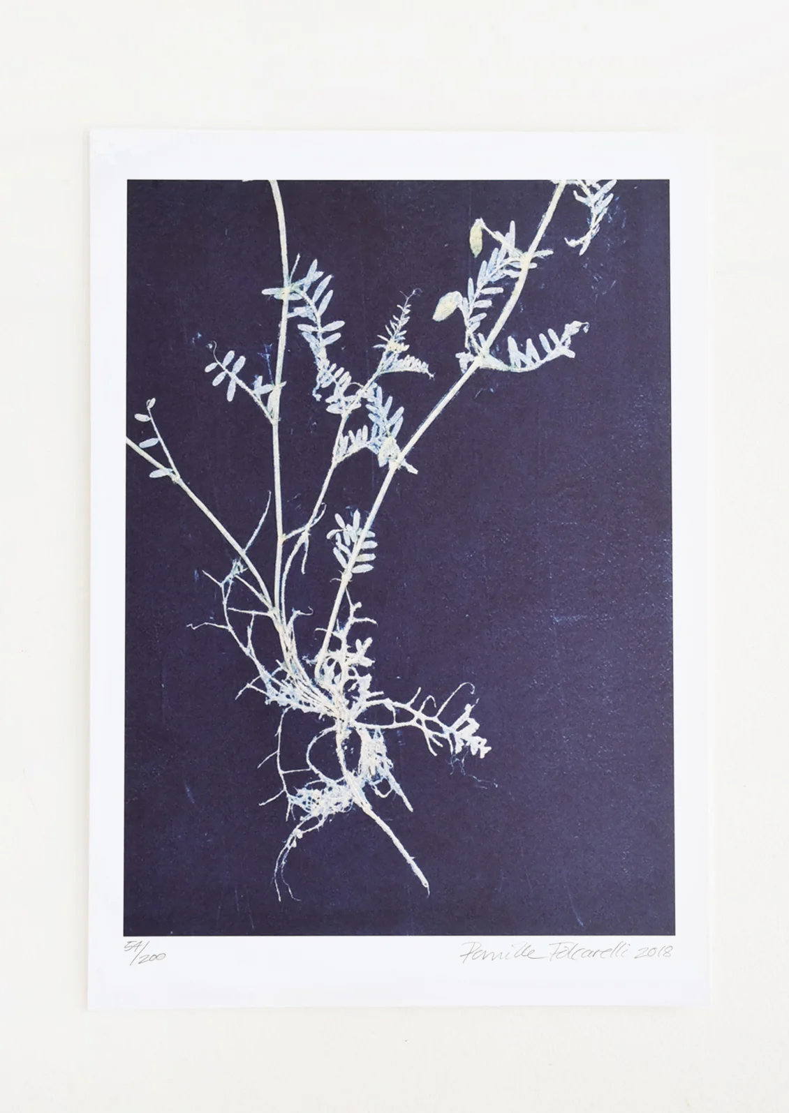 Vicia in Indigo Print