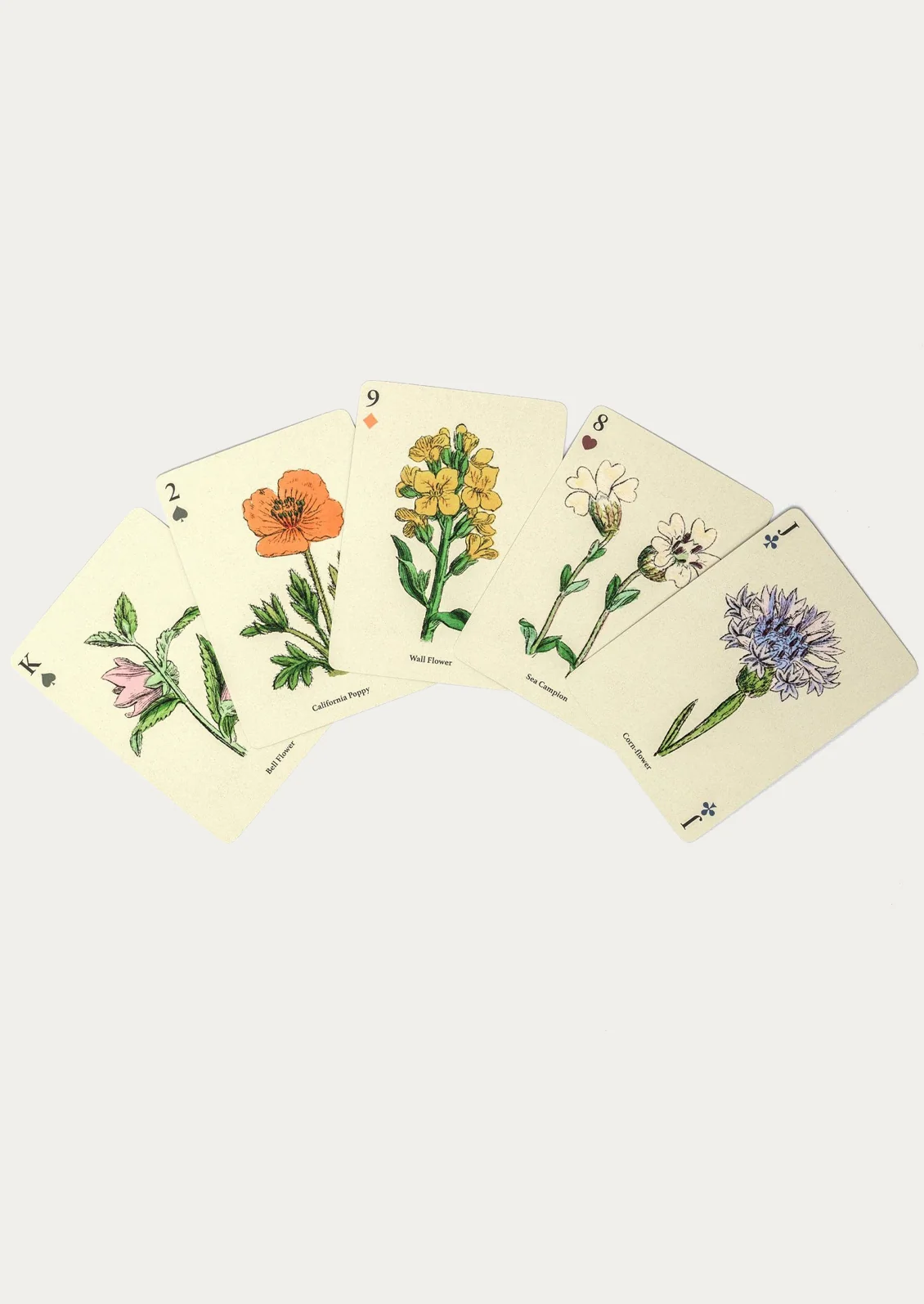 Illustrated Playing Cards - Image 5