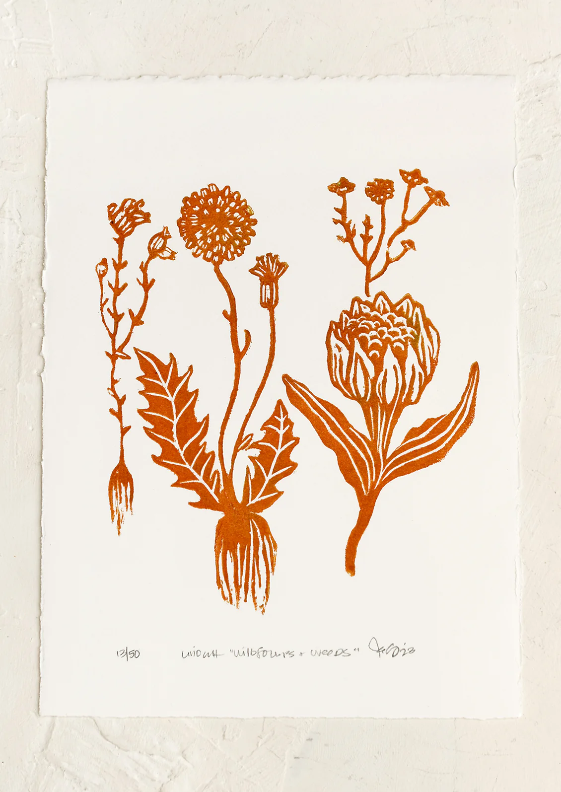 Wildflowers & Weeds Print