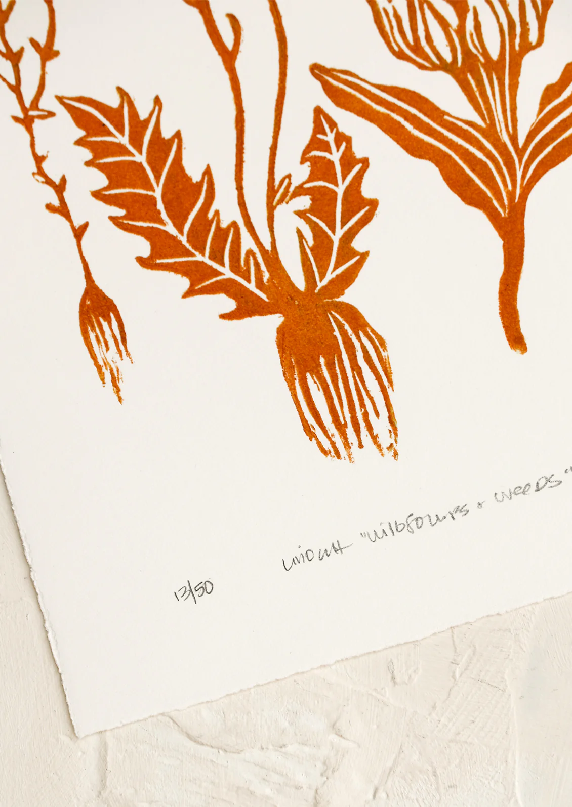 Wildflowers & Weeds Print - Image 2